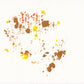 liquen 27
