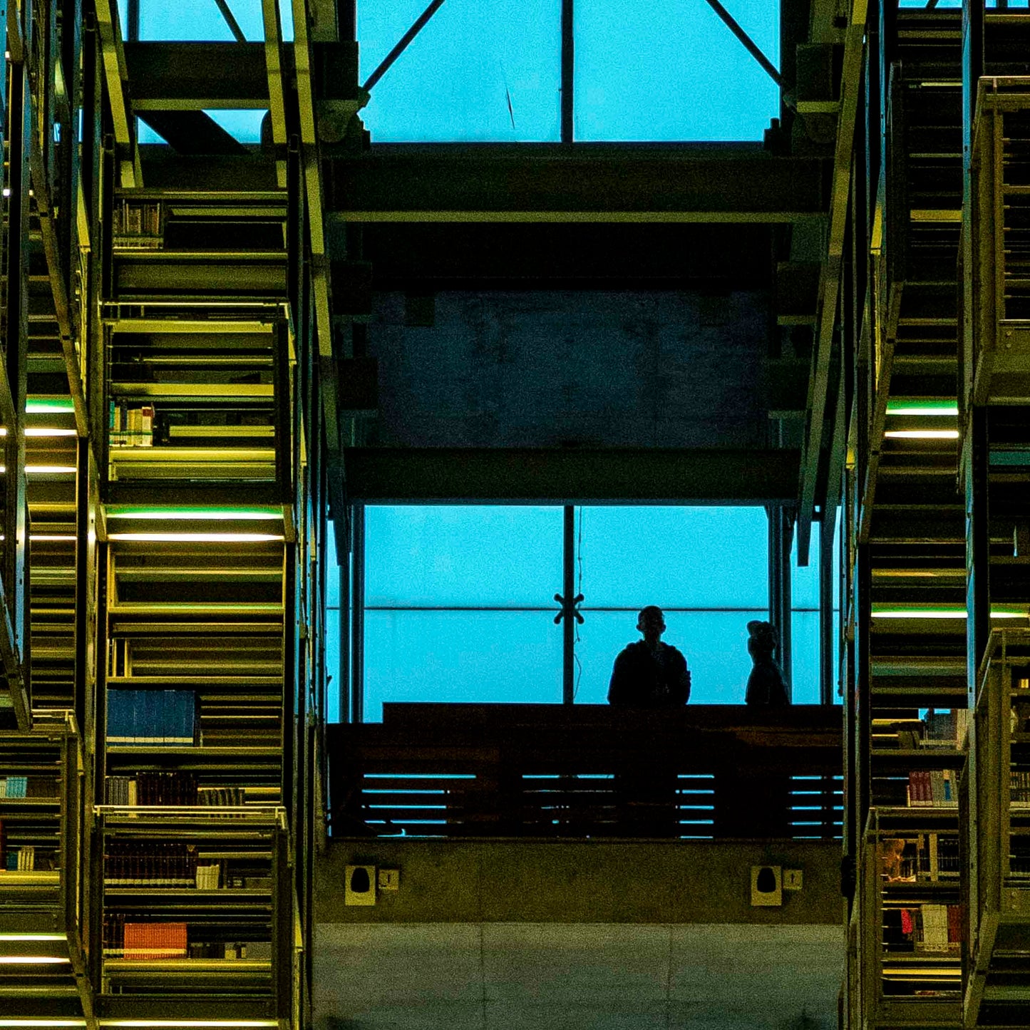 Una tarde en la biblioteca