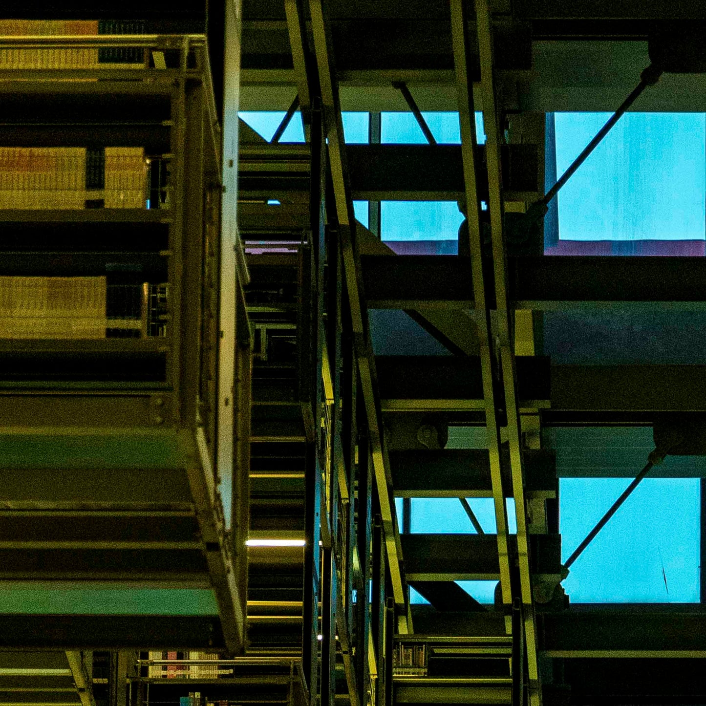 Una tarde en la biblioteca