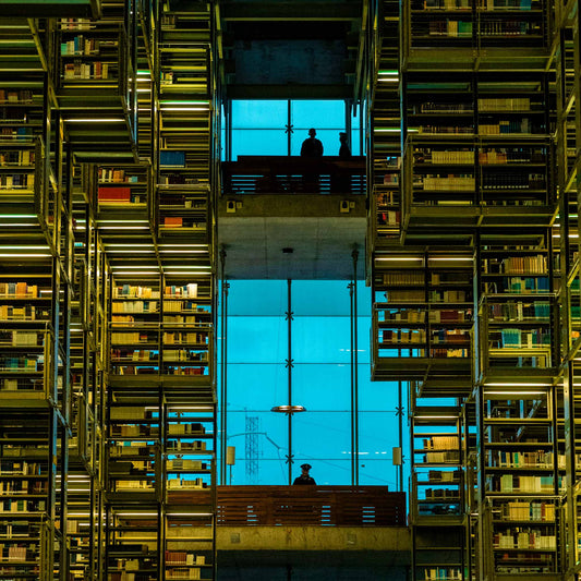 Una tarde en la biblioteca
