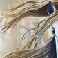Caballo Blanco