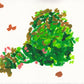 liquen 21