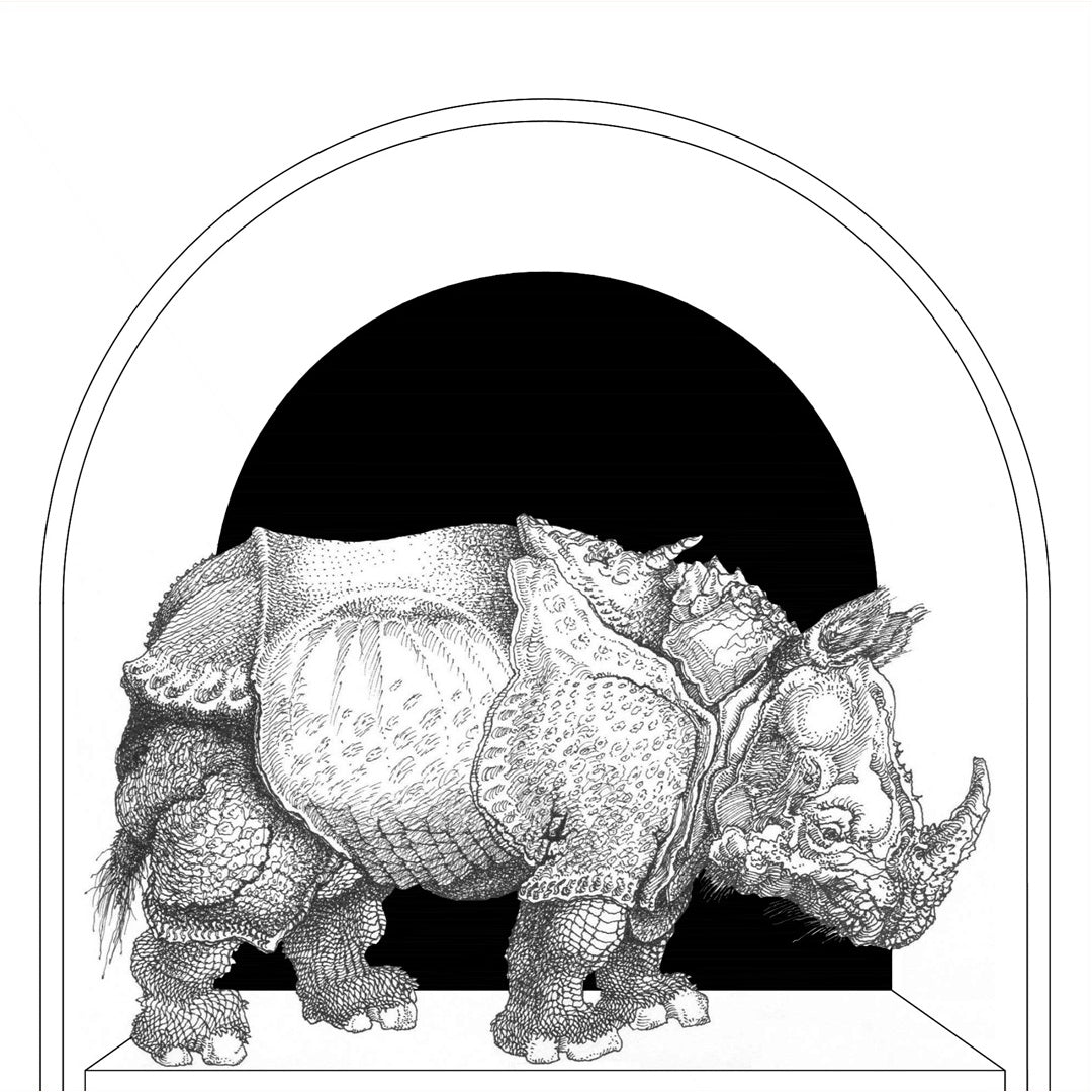 Rhinocervs 1515 en versión 1981