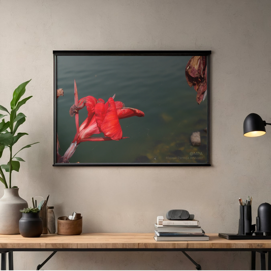 Fotografía de naturaleza — Armonía Escarlata