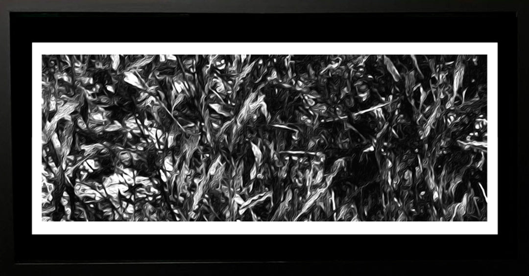 Cuadro abstracto - Tramas. Serie: BN II.