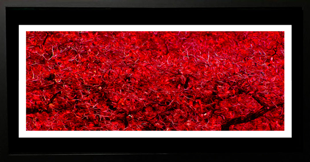 Cuadro abstracto - Tramas. Serie: IX Rojo.