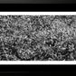 Cuadro abstracto - Tramas. Serie: VIII BN.