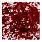 Cuadro abstracto - Tramas. Serie: V Rojo.