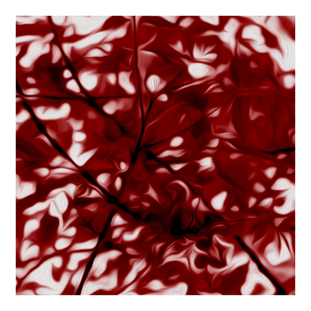 Cuadro abstracto - Tramas. Serie: V Rojo.