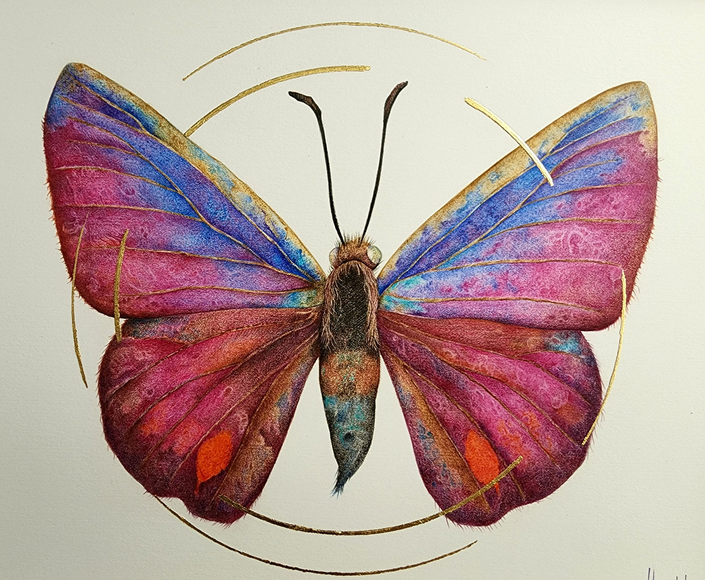 Mariposa