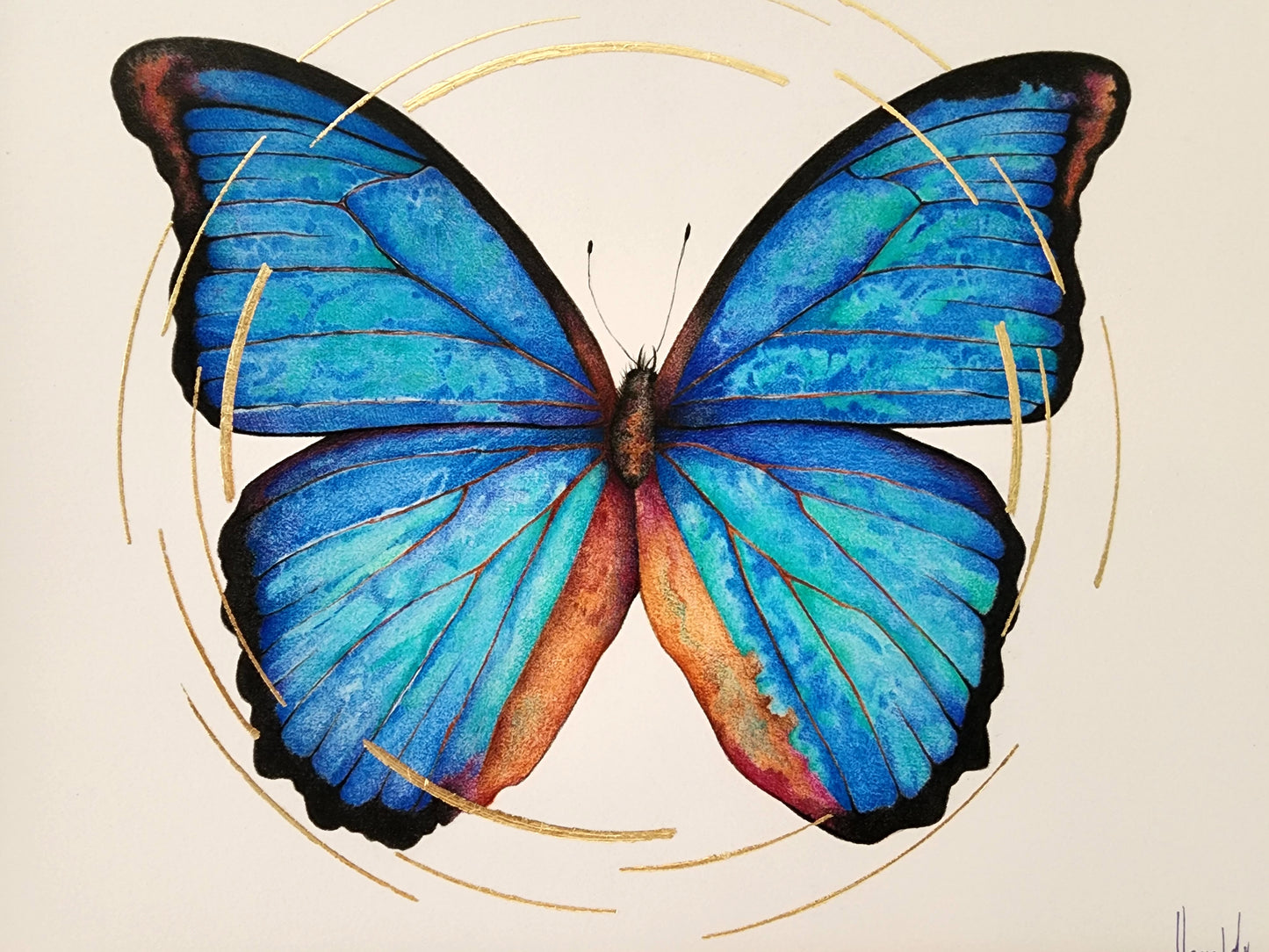 Mariposa 4