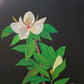 Obra de arte original - Suspiro de Magnolias