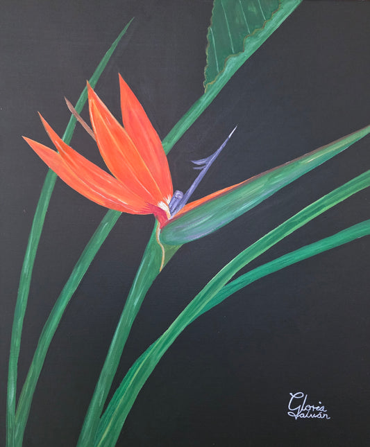 Obra de arte original - Ave del paraíso