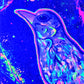 Cuadro Neon Decorativo-Pajaro Carpintero.