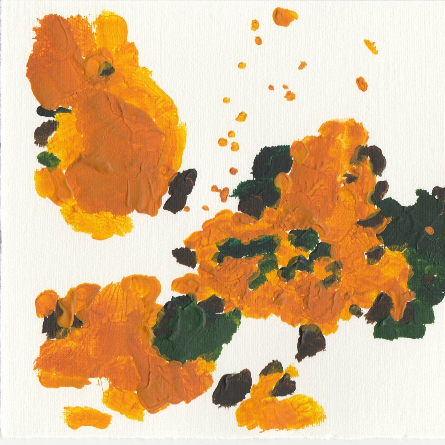 Liquen 33