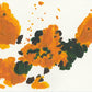 Liquen 33