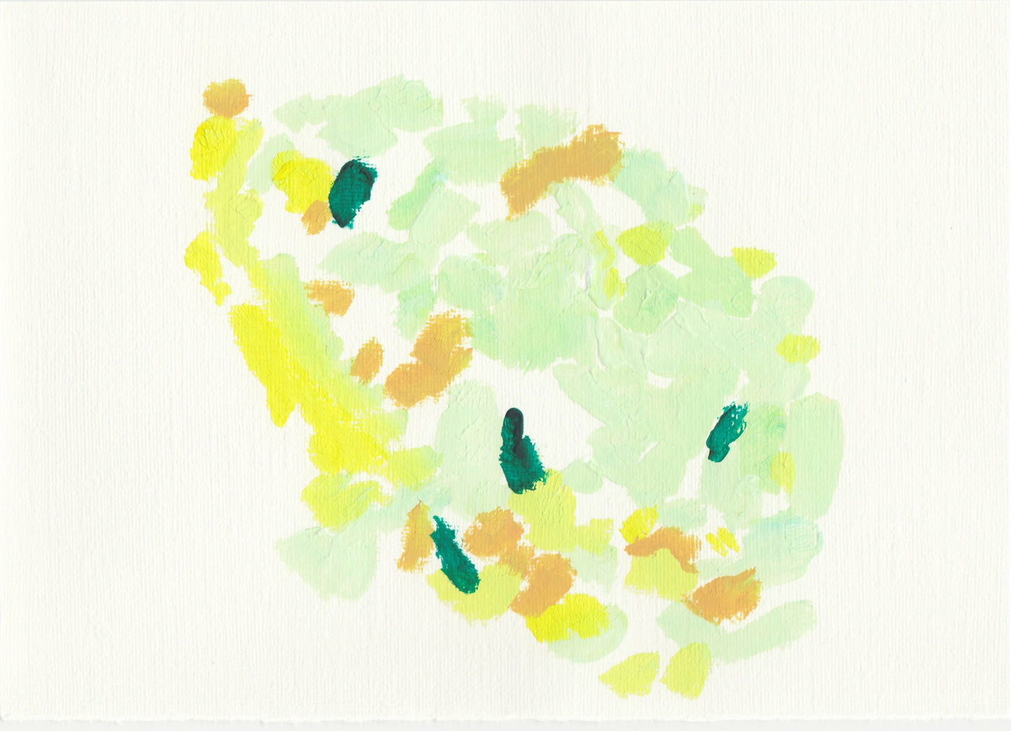 Liquen 34