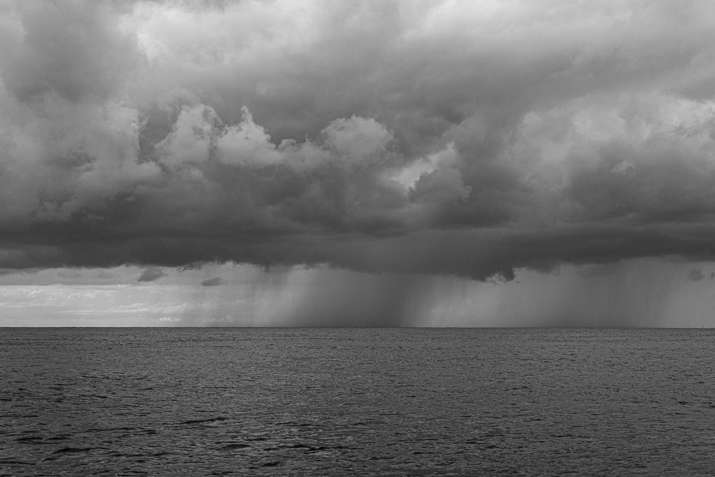 Tormenta Perfecta