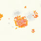 Liquen 19