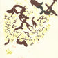 Liquen 13