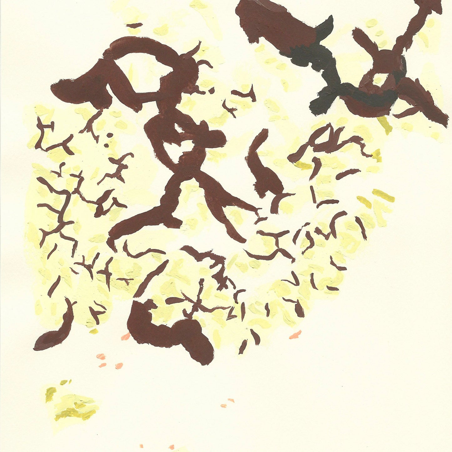 Liquen 13