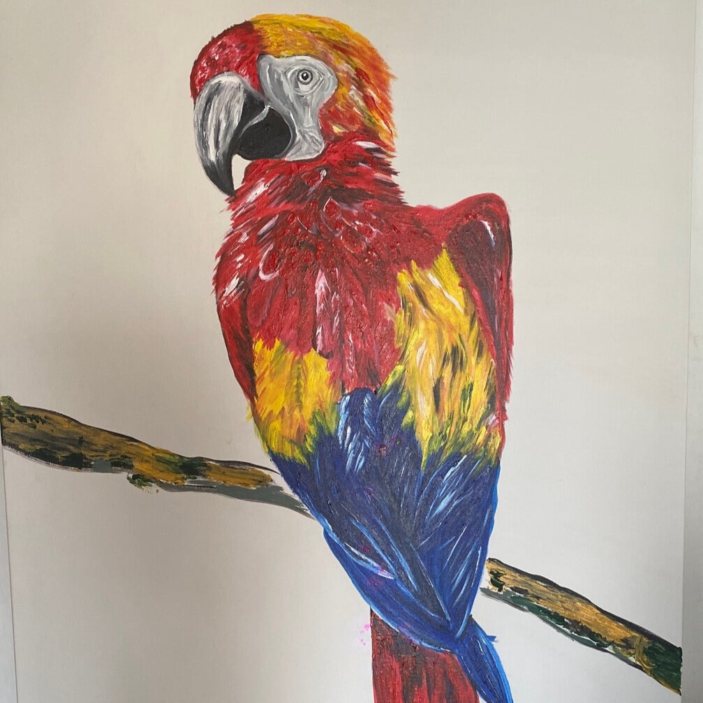 Guacamayo Rojo