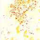 Liquen 7