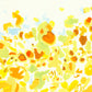 Liquen 1