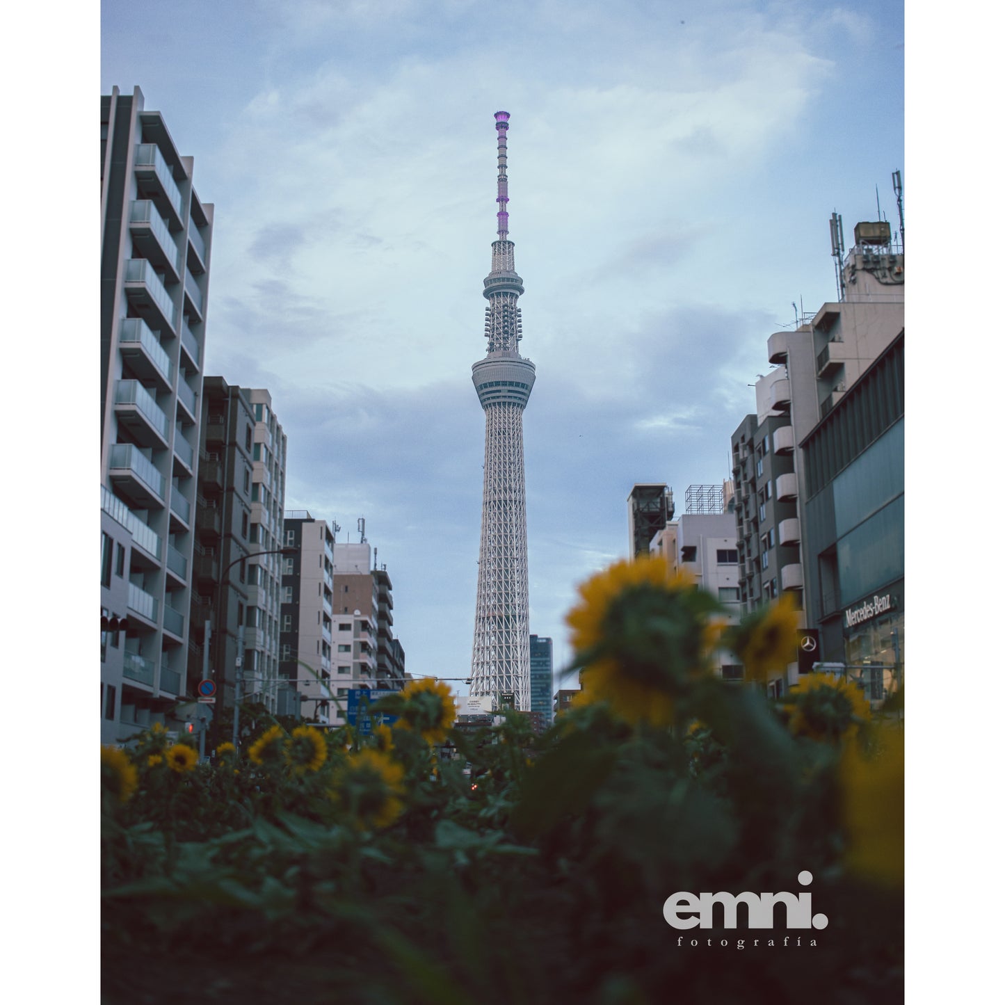 Tokio - El Skytree desde los Girasoles