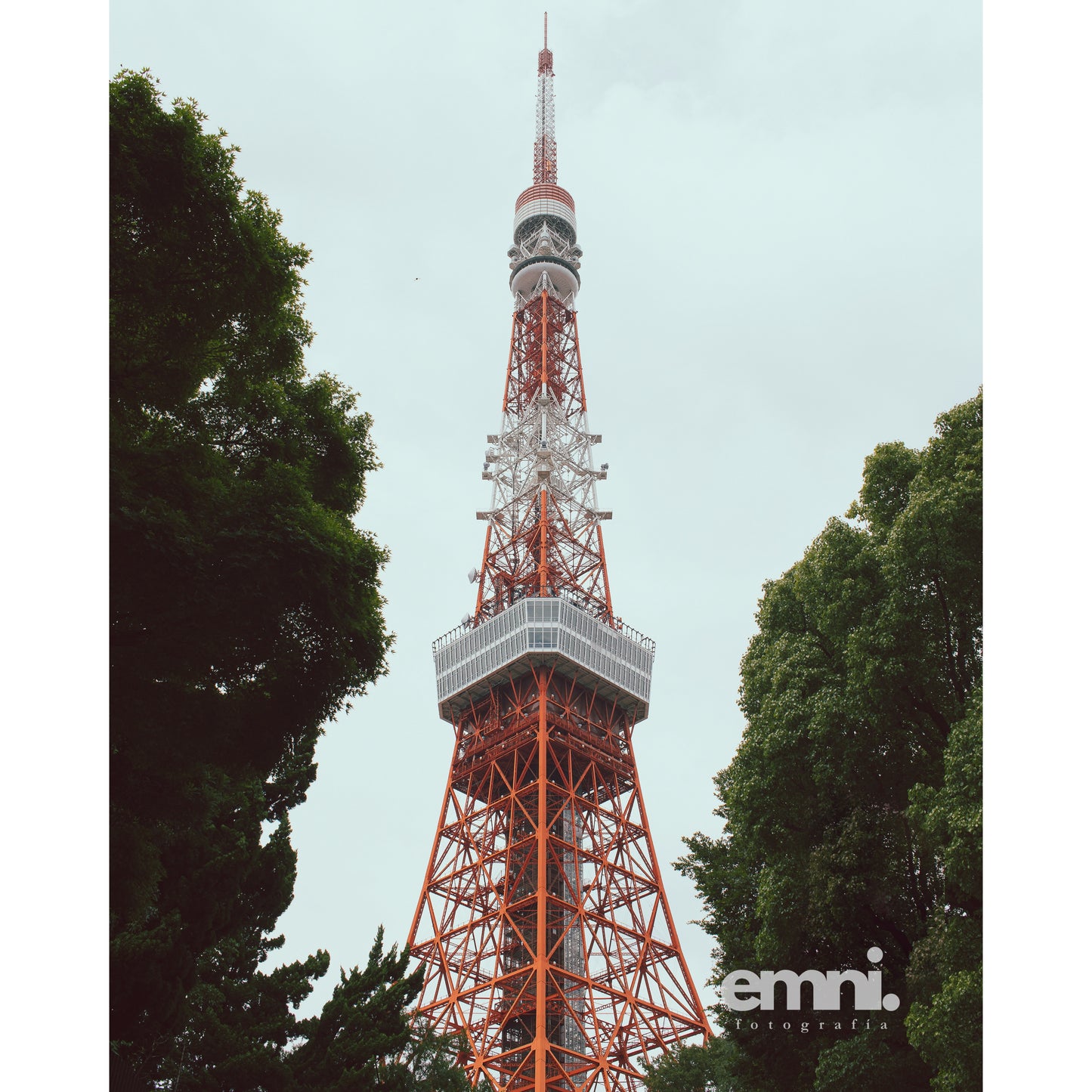 Tokio - La Torre de Tokio I