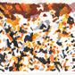 Liquen 22