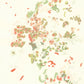Liquen 2