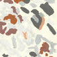 Liquen 18