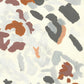 Liquen 18
