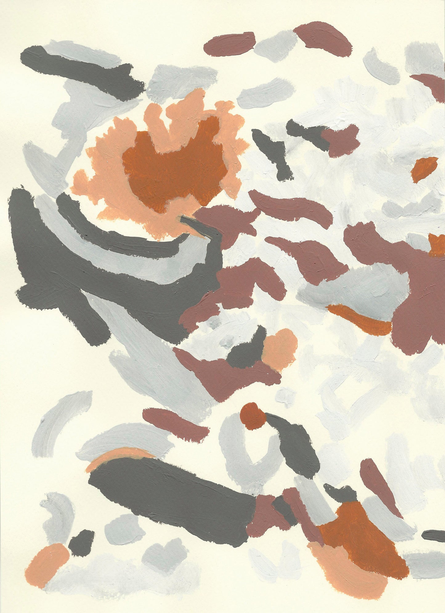 Liquen 17