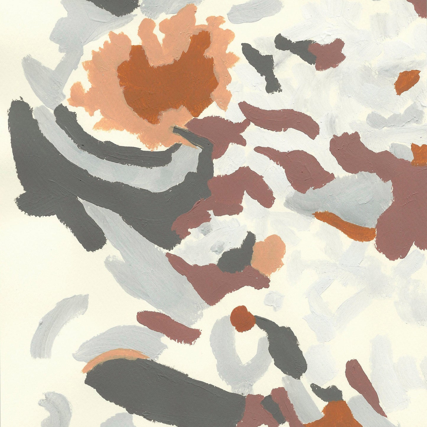Liquen 17