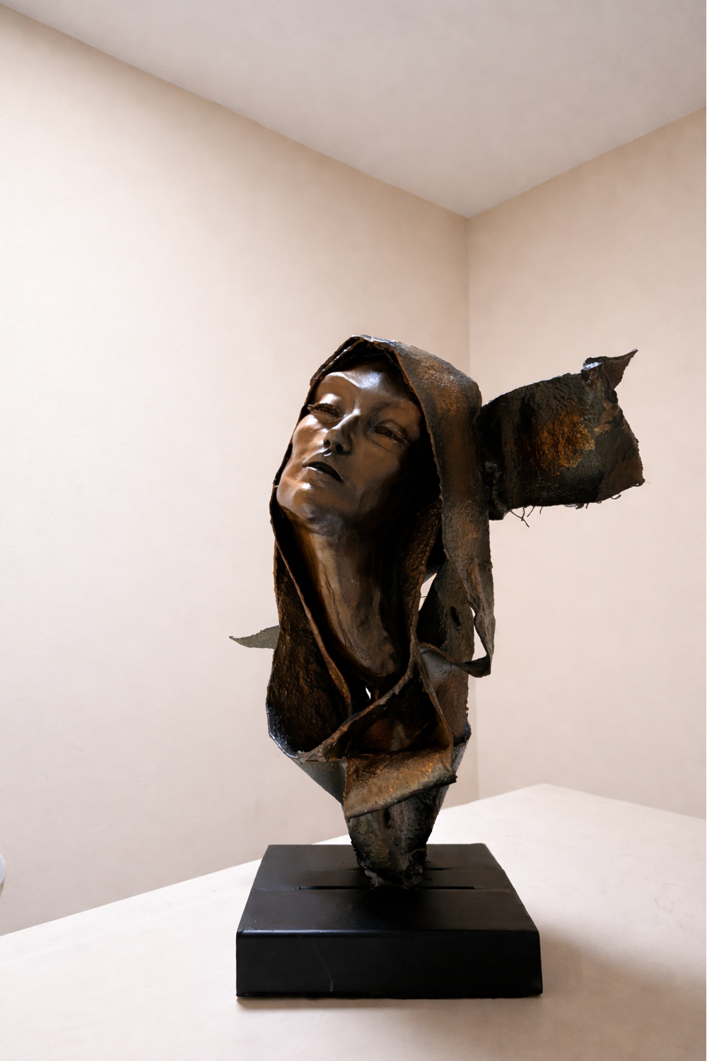 Escultura decorativa - la última piel