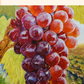OBRA DE ARTE ORIGINAL - UVAS Y VIÑEDO