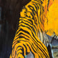 Tigre03