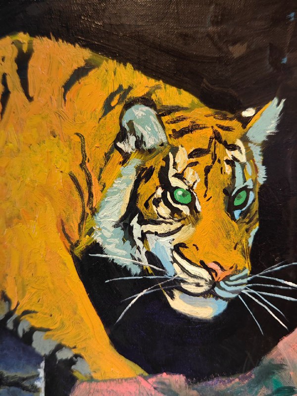 Tigre03