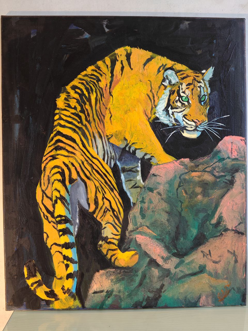 Tigre03