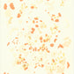 Liquen 9