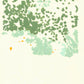Liquen 8