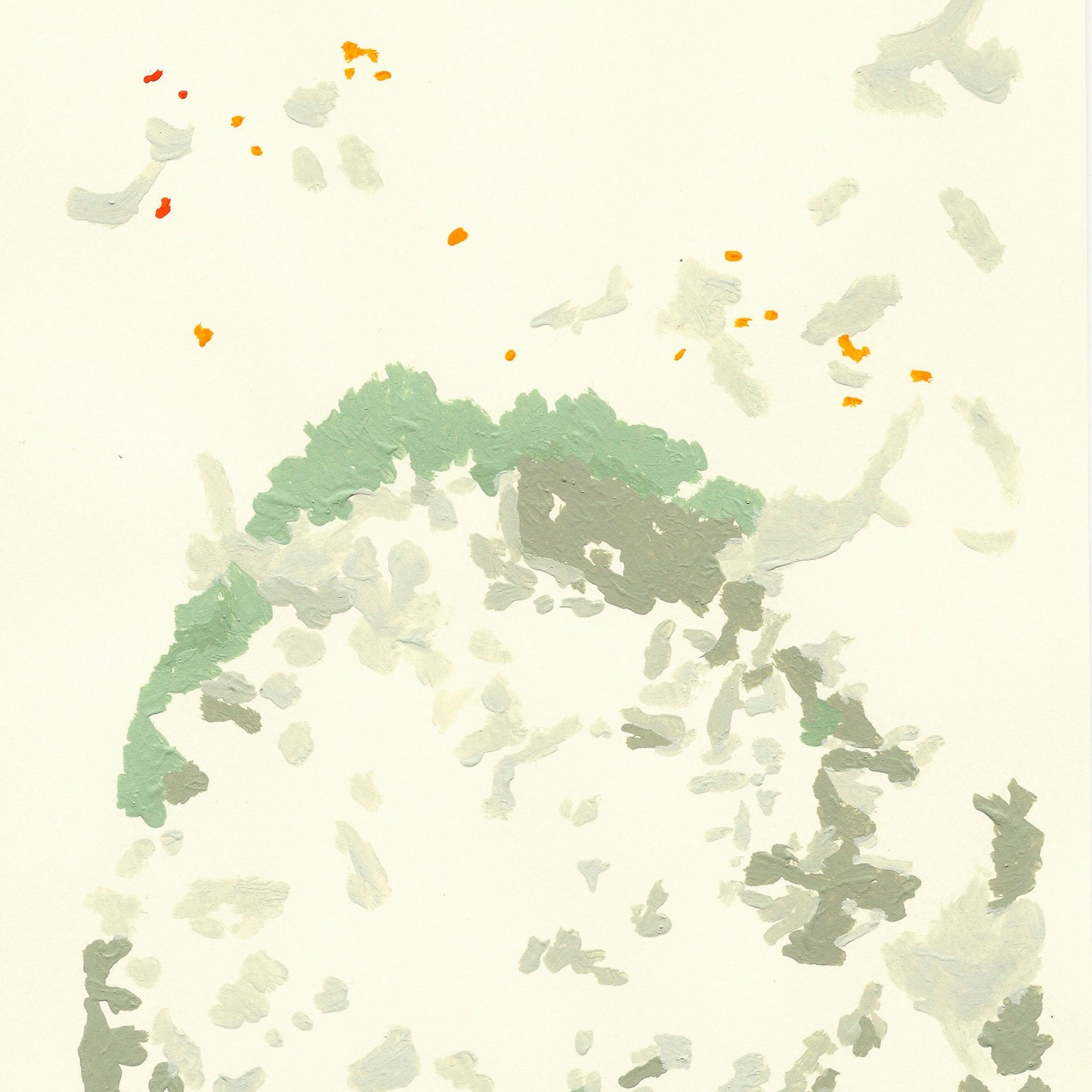Liquen 14