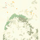 Liquen 14