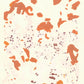 Liquen 6