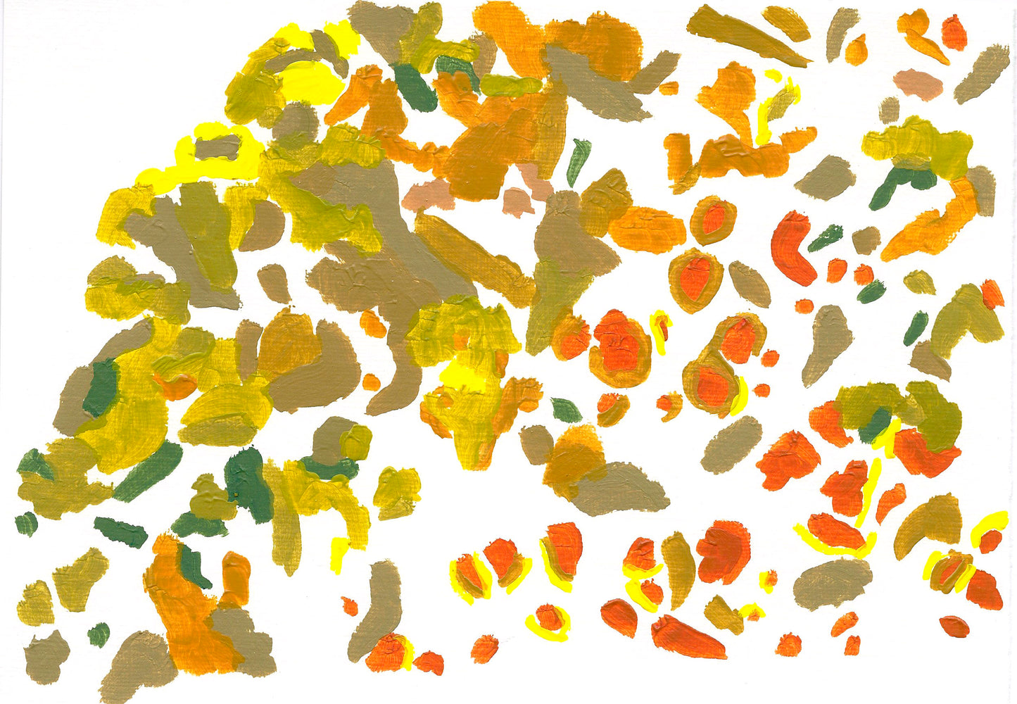 Liquen 5