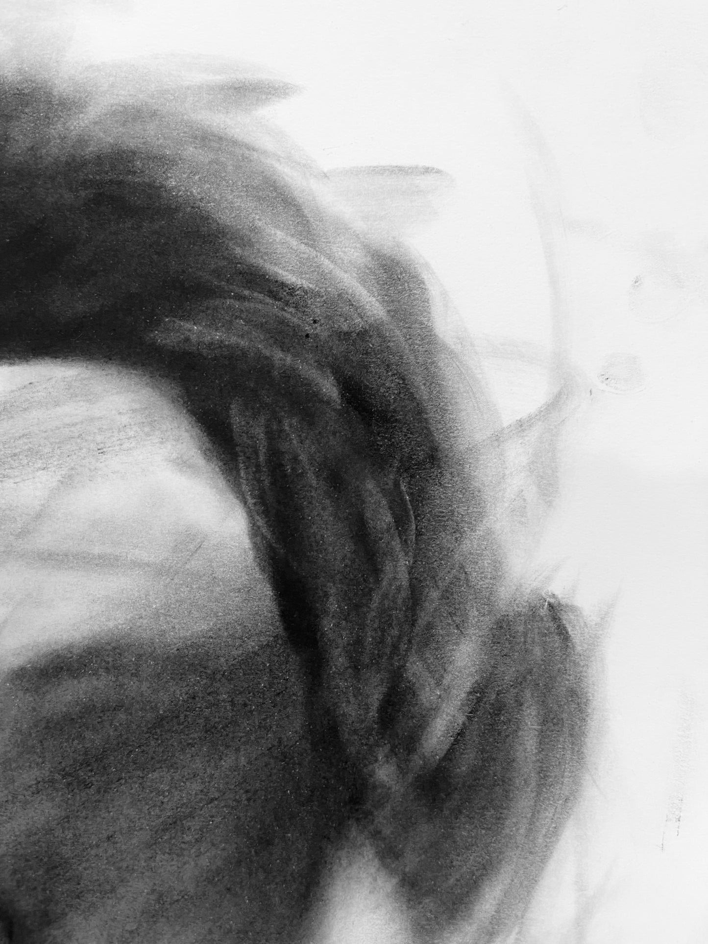 "Viendo un mejor… futuro…"