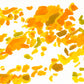Liquen 37