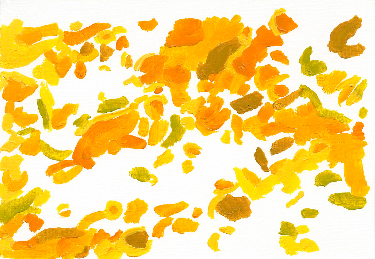 Liquen 37